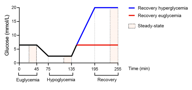 Filip K. Knop (@filip_knop) on Twitter photo Risk of sudden cardiac death⬆️x 10 in #T1D. Hypo prolongs QTc interval (risk factor for fatal cardiac arrythmias). Does it matter how you recover (to hyper- vs. euglycemia)?
<a href="/Christi04644231/">Christine Rode Andreasen</a>: "No, but prolonged QTc interval is sustained during recovery"
dom-pubs.onlinelibrary.wiley.com/doi/10.1111/do… Risk of sudden cardiac death⬆️x 10 in #T1D. Hypo prolongs QTc interval (risk factor for fatal cardiac arrythmias). Does it matter how you recover (to hyper- vs. euglycemia)?
<a href="/Christi04644231/">Christine Rode Andreasen</a>: "No, but prolonged QTc interval is sustained during recovery"
dom-pubs.onlinelibrary.wiley.com/doi/10.1111/do…
