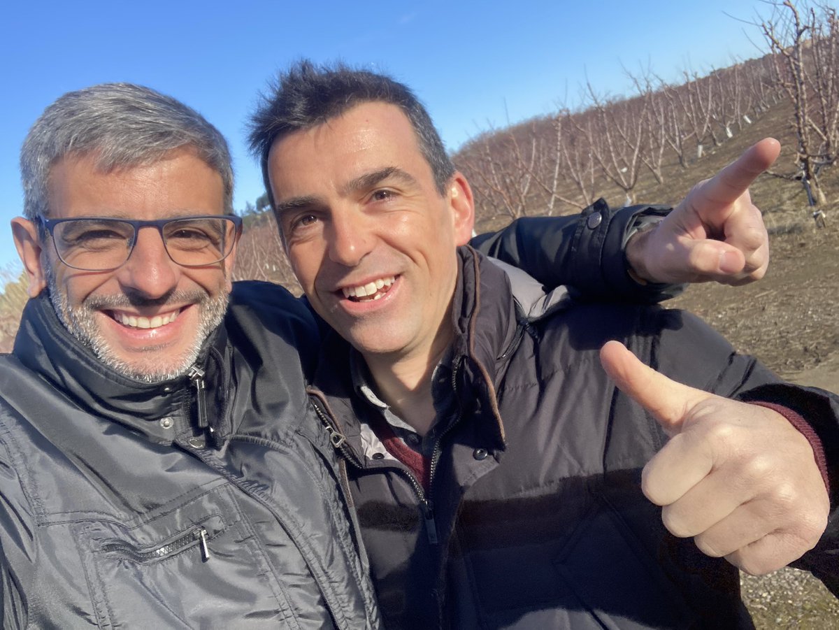 Xavier Casillanis Comas tweet media