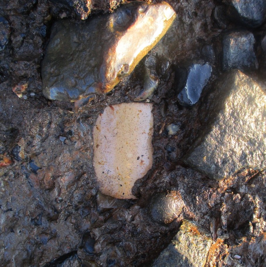 GermanderS's tweet image. A perfect stoneware pot - first spotted as a patch of ceramic in the mud, which to my pleasure, came out complete! Not sure what this size pot is for; it's like a double-height inkwell or a half-length bottle....