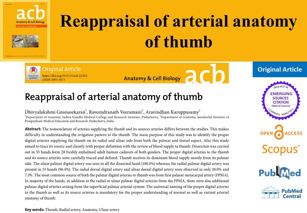 AcbjournalO's tweet photo. Reappraisal of arterial anatomy of thumb

https://t.co/94Ok5SeKuW
Anat Cell Biol 2022; 55(4): 414-422

#대한해부학회 #AnatomyCellBiology
#RadialArtery #Anatomy #UlnarArtery #Thumb https://t.co/UOeStzjKn6
