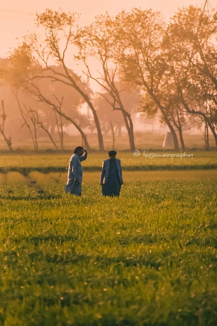 تصور علی tweet media