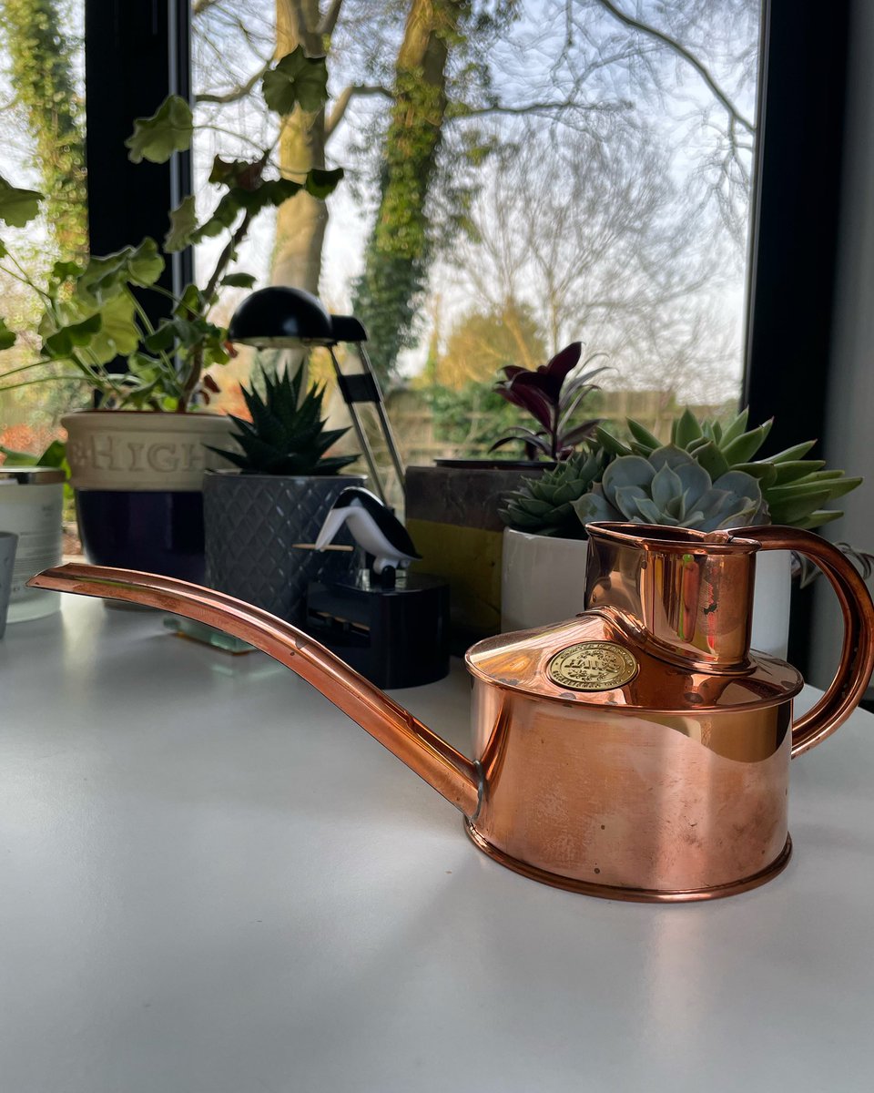 Stifyn1's tweet image. Drink? #dwr #drink #copper #kitchen #winter #thursday #February