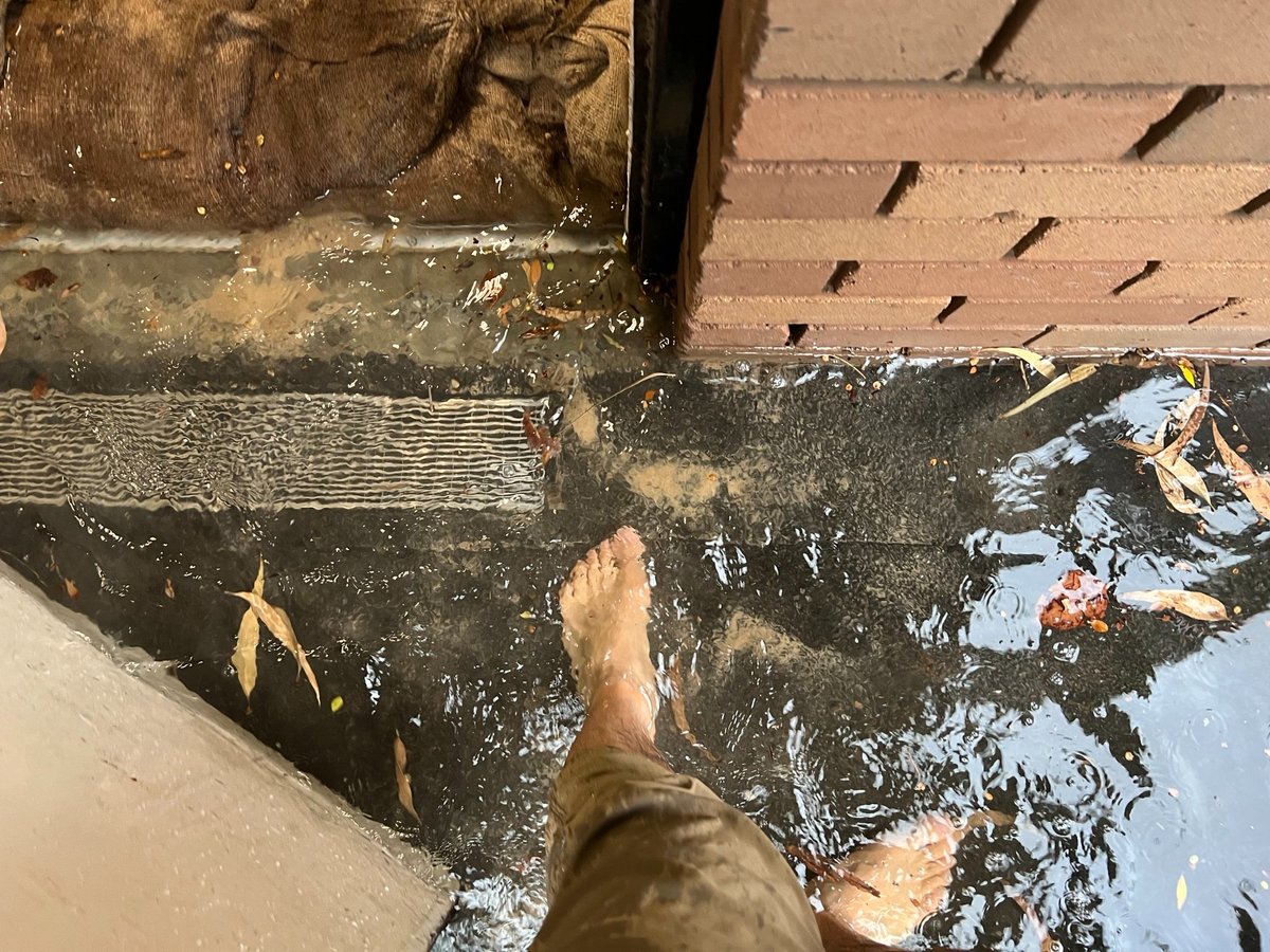 The rains have thankfully passed for now but we certainly experienced a deluge here at the Library! 

Thankfully the dedicated staff and the sandbags assisted in keeping the Library from being awash!

#LibraryLife #SydneyStorm