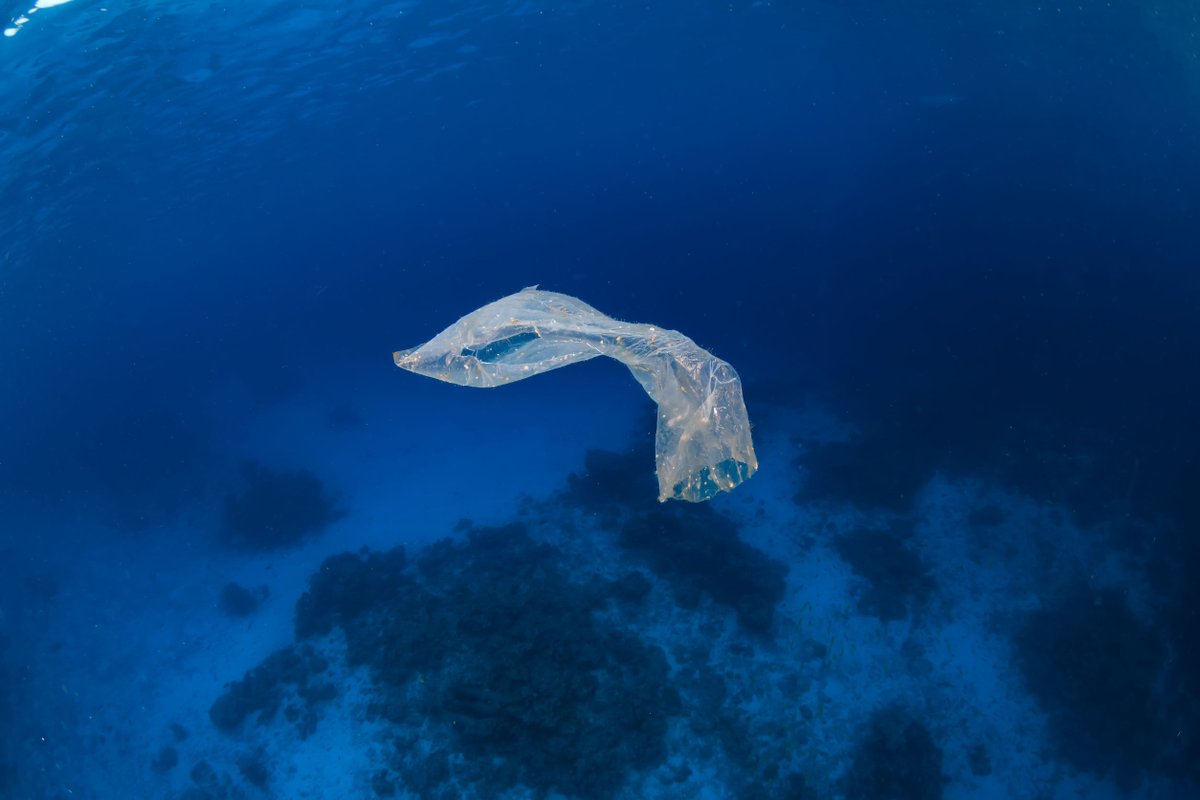 wartsilacorp's tweet photo. We have partnered with @CarnivalPLC to make the #maritime industry greener through a pilot project that focuses on #ReducingPlastic use while also lowering CO2 emissions. https://t.co/dlR20Pquk9
#PressRelease #decarbonisation #sustainability https://t.co/Wx5As8Pan1