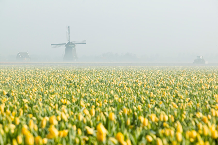 Bulbs4Kids_NL tweet media