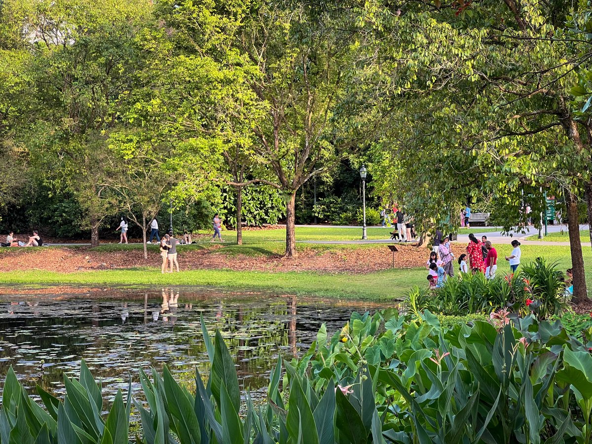 On 13 Feb, our DORSCON level finally goes down to Green &amp; we will lift remaining COVID-19 measures. We supported &amp; trusted one another throughout this journey, &amp; have emerged stronger &amp; more resilient as a nation. This is a hard-earned achievement. – LHL go.gov.sg/vu51kx