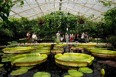 Save 20% on a visit to Kew Gardens with a Thames River cruise for two. Enjoy a picturesque journey to the home of the world’s largest collection of living plants for just £59.20 for two.

Find out more at ow.ly/bXlm50MMcNh