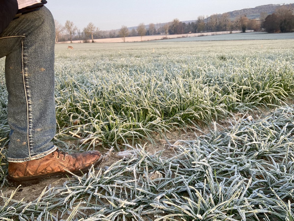 Emmanuel BONNIN tweet media