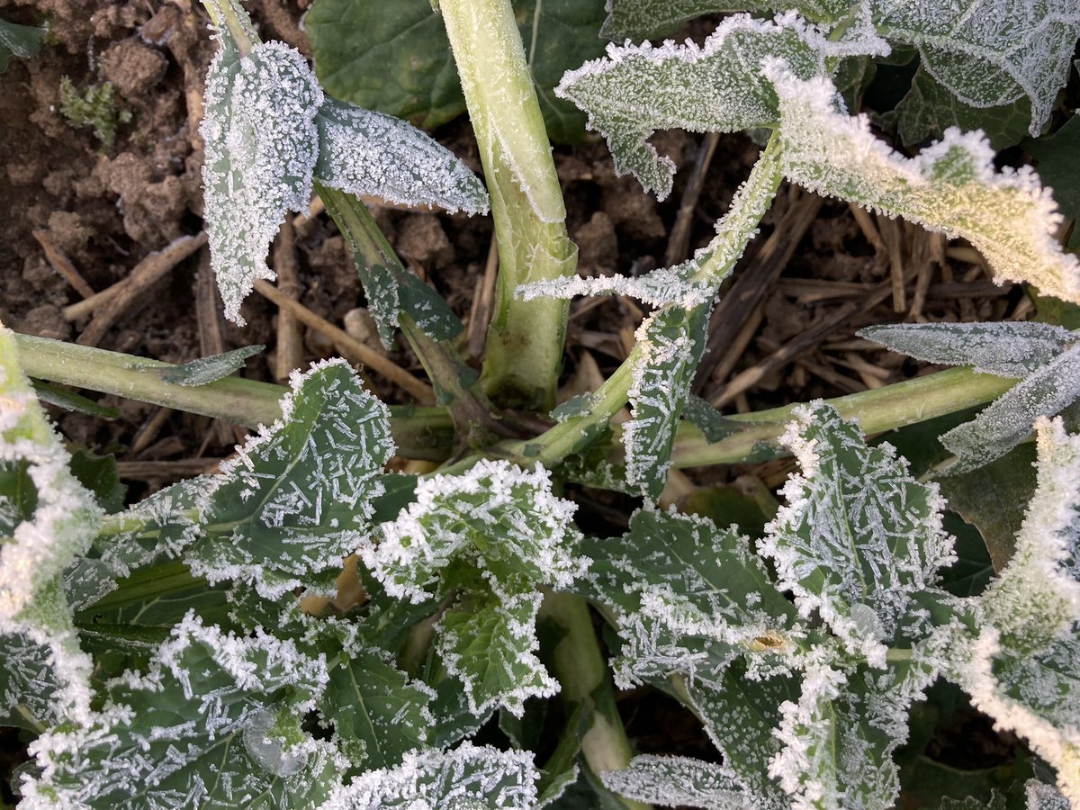 Emmanuel BONNIN tweet media