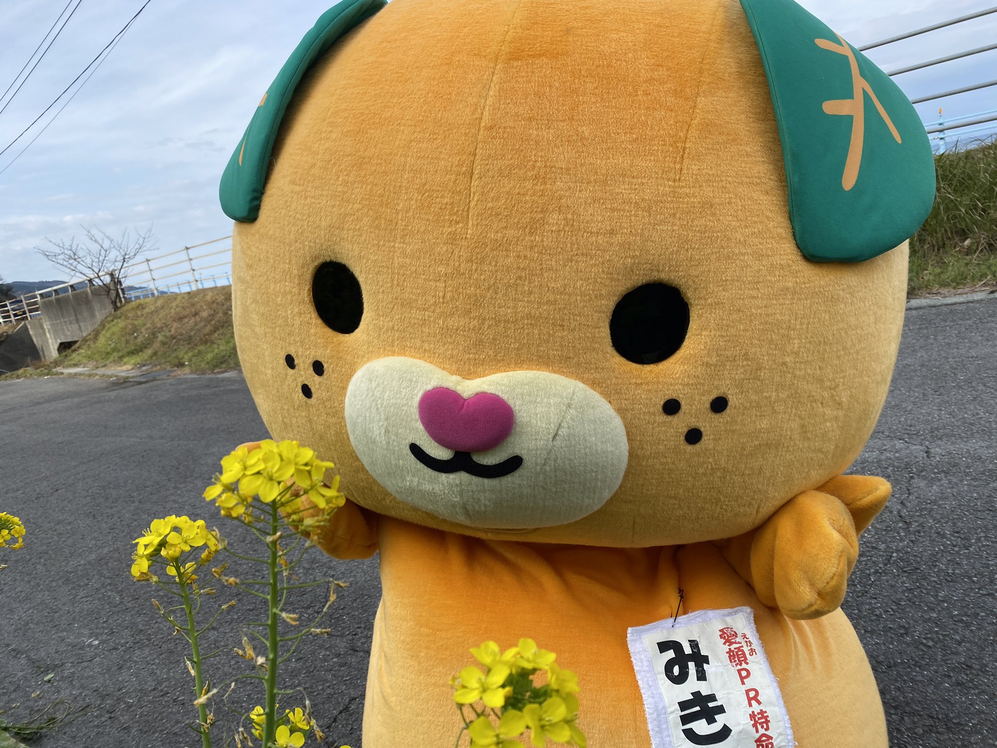割引購入 みきゃんさん専用！Twitterフォロワー1000人記念！ その他
