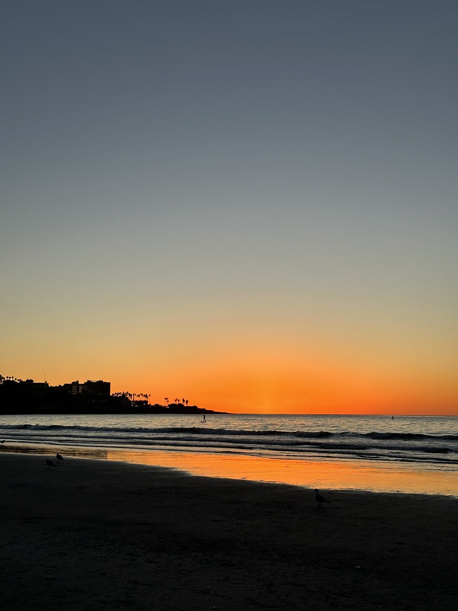 la jolla shores 🌴
