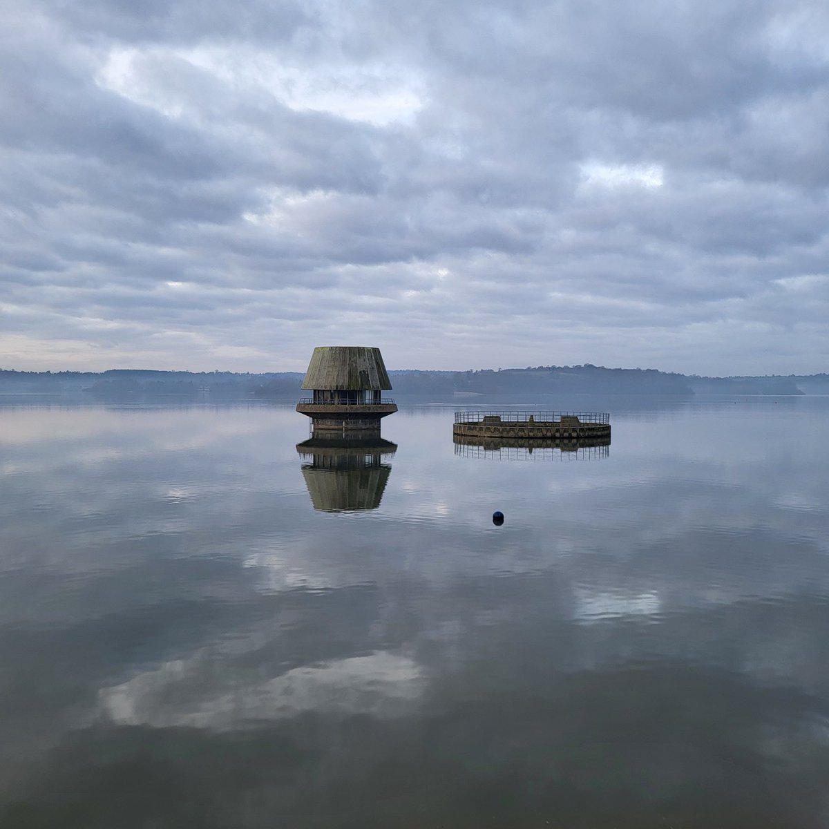 andrew_bff's tweet image. #bewlwater #beforework #dogwalk #wellness