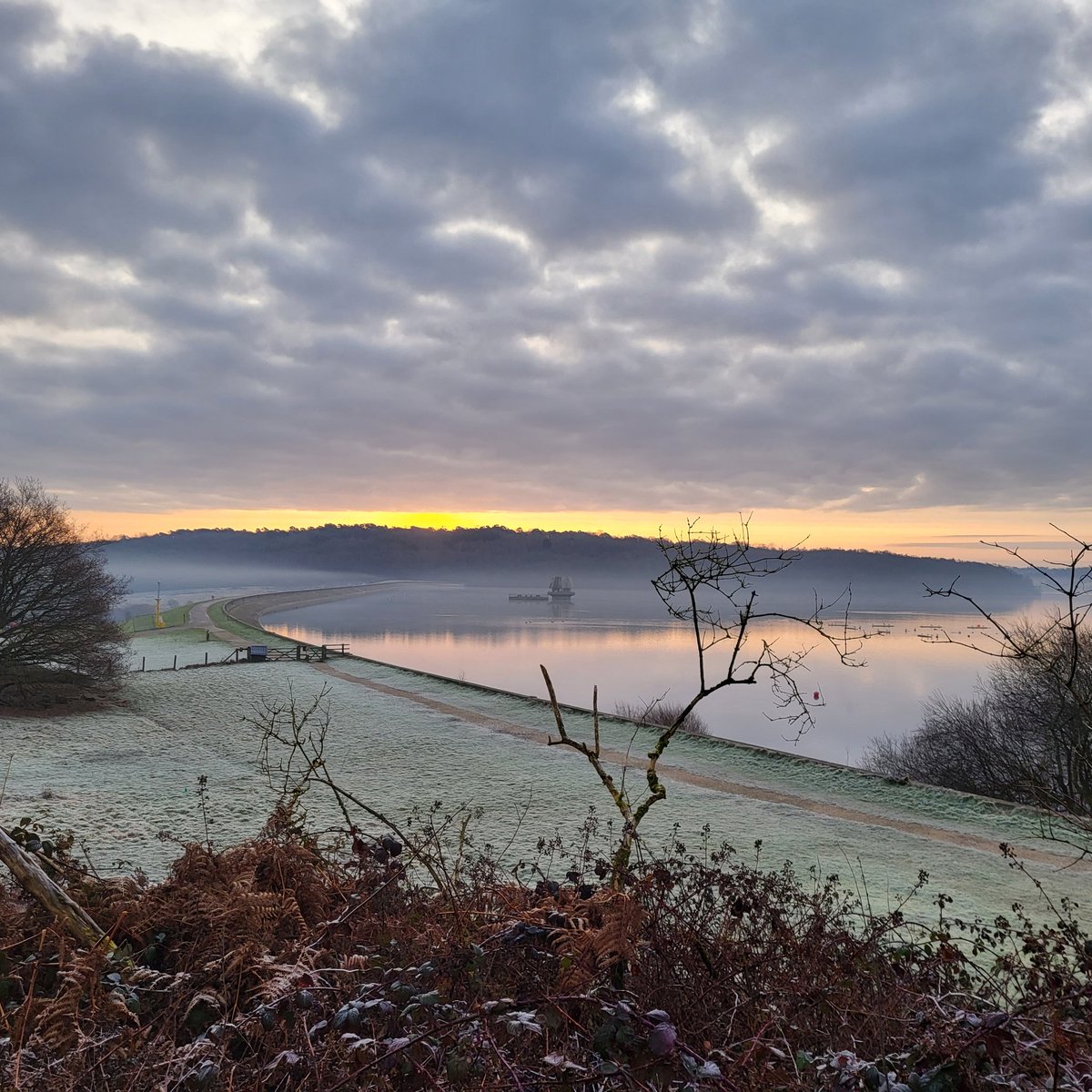 andrew_bff's tweet image. #bewlwater #beforework #dogwalk #wellness