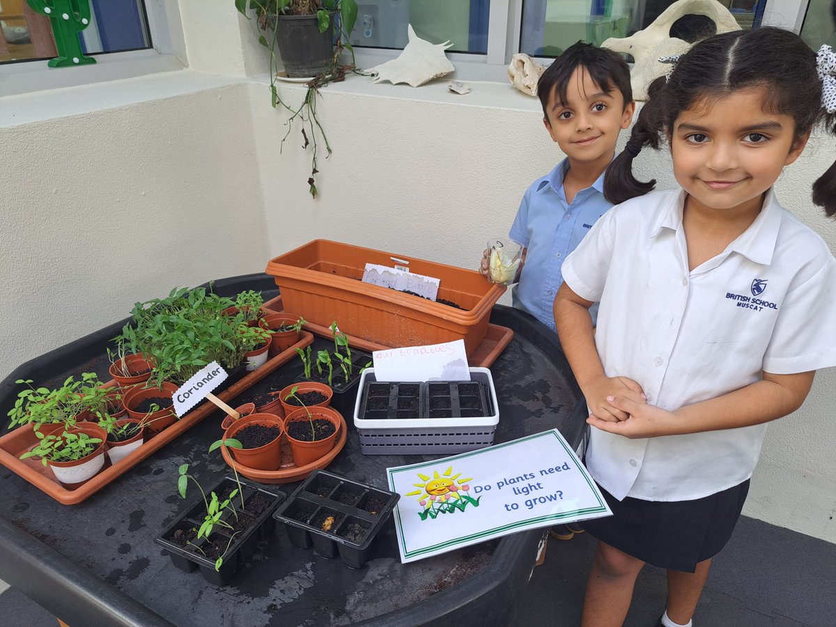 BSM Year 1 tweet media