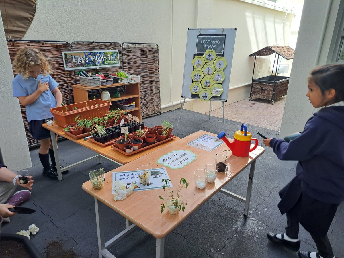 BSM Year 1 tweet media