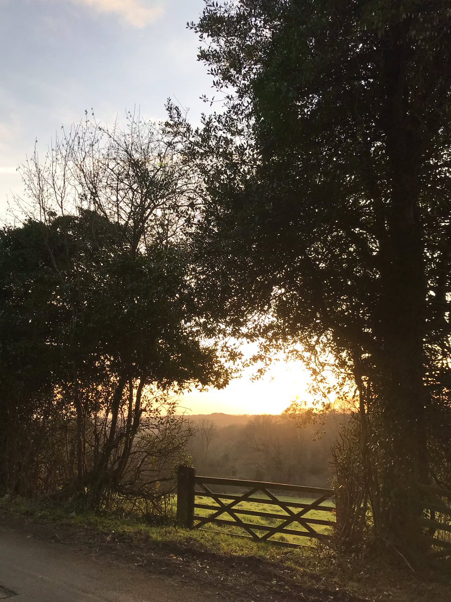 meikiecakie's tweet photo. Good Morning Chums. Hazy sunlight through trees for you today. Have a migraine beginning so brain has gone onto a go slow. Please send soothing vibes. @keeper_of_books #trees #lanes #fields #wintersunlight https://t.co/Y4T1YmSWou