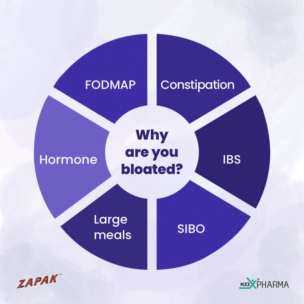 Here are the reasons why are you bloated. Avoid those things and have a healthy life.
.
.
.
.
.
#fodmap #fodmapfree #ibs #hormone #hormones  #hormonehealth #largemeals #sibo #HealthMatters #GastricProblems #gastro #constipationhappen #constipationissues #zapaksesaaf #zapakchurna