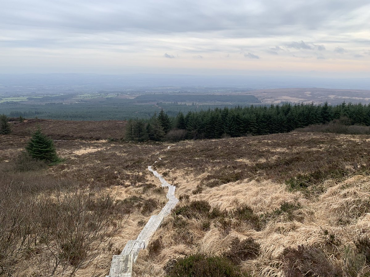GField17's tweet photo. A gentle hike around Slieve Bloom ๐จ๐๐ฎ๐ช https://t.co/2uBIhEykU6