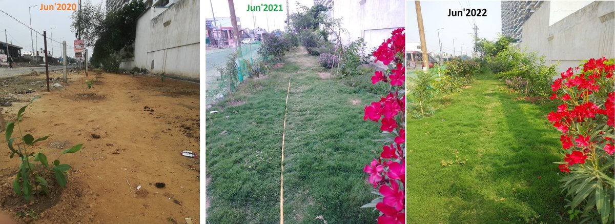 ऐस सिटी निवासियों के द्वारा निःस्वार्थ भाव से किये गए अथक परिश्रम से साल दर साल बदलती हुई इस👇🏻तस्वीर से कोई अपने निहित स्वार्थ के कारण ही परेशान हो सकता है। प्रशासन/सरकार यदि यहाँ पेड़-पौधे-ग्रीन बेल्ट विकसित नहीं कर सके तो कम से कम इनका संरक्षण तो सुनिश्चित करें।
<a href="/OfficialGNIDA/">Greater Noida Industrial Development Authority</a>