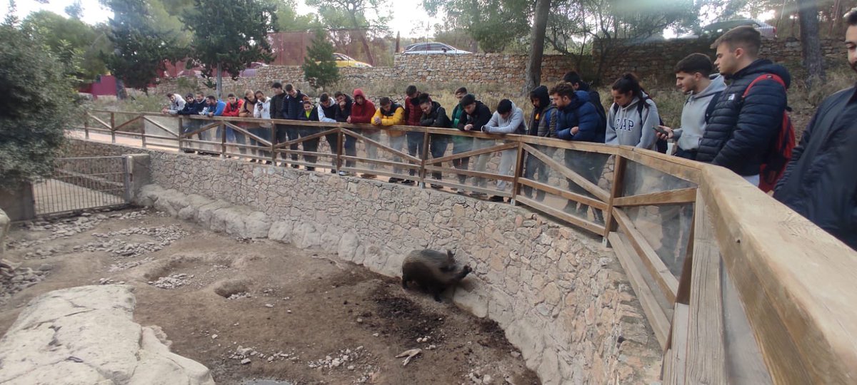 FPUCAM's tweet photo. Los alumnos de la FP Técnico en Enseñanza y Animación Sociodeportiva han realizado una visita guiada al área de educación ambiental para conocer la fauna de nuestra región, los problemas a los que se enfrenta, cómo se recupera y qué podemos hacer para ayudar.
#TSEASUCAM #UCAMFP https://t.co/RhO0Zl7kur