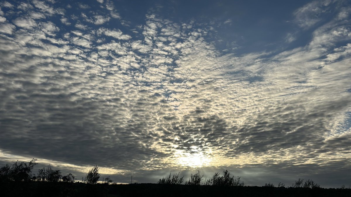A veces me debato entre si me gusta más el amanecer o el anochecer. Pero he llegado a la conclusión de que simplemente me fascina el estado cambiante del cielo, de la luz.

De ser pintora, habría sido impresionista. ✨