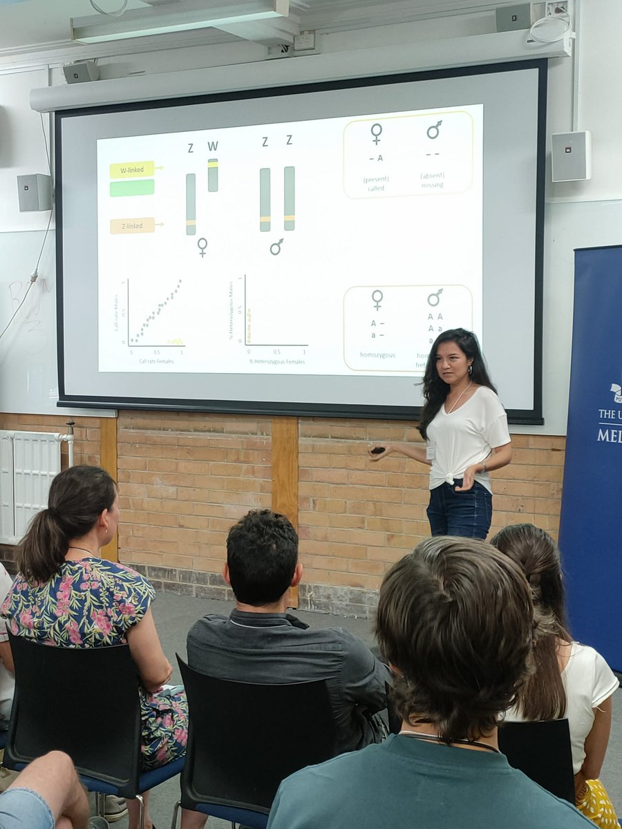 Dr Diana Robledo-Ruiz tweet media