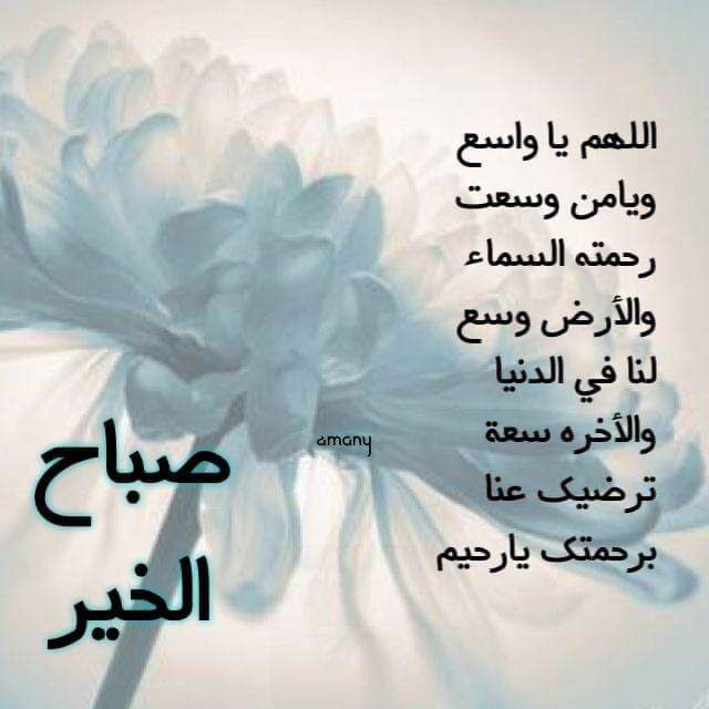 salah omar (@salahom73034959) on Twitter photo 