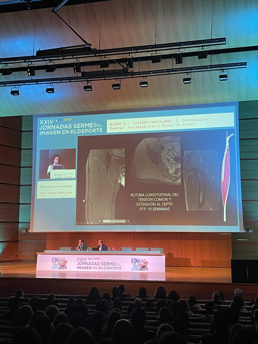 XXIV jornadas serme. Imagen en el deporte