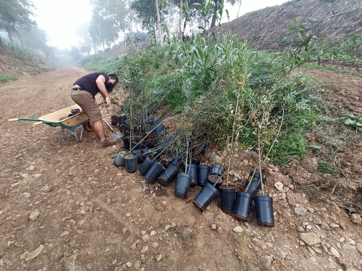LIFETerraEurope's tweet photo. Our partner @fundacioemys is restoring riparian ecosystems🌿in Catalonia. They carried out a tree planting along the river bed of the Onyar river where trees were planted on both sides to avoid erosion. 
🙏 Thanks for your precious task of cleaning and restoring local landscapes! https://t.co/TwBo3EGQ0X