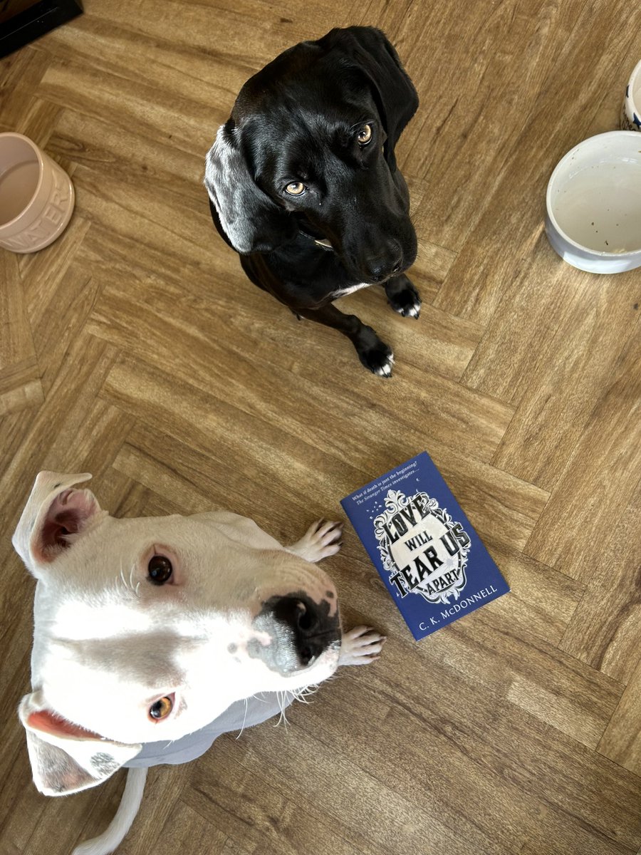 Caimh's tweet photo. Fever-pitch excitement here as itโs finally publication day for this bad boy! Available in all formats everywhere as these two good boys will tell you.
Now if youโll excuse me I have only 10 hours to get my beard done for this evenings official launch event at @WaterstonesMCR https://t.co/MuEugUFdS3
