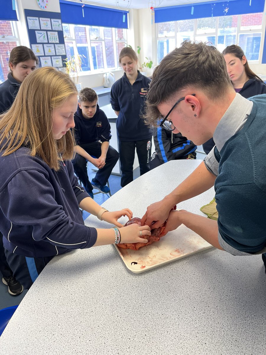 Academic Enrichment | The King’s School tweet media