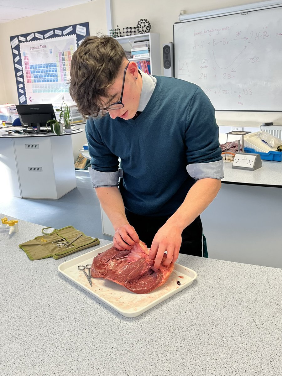 Academic Enrichment | The King’s School tweet media