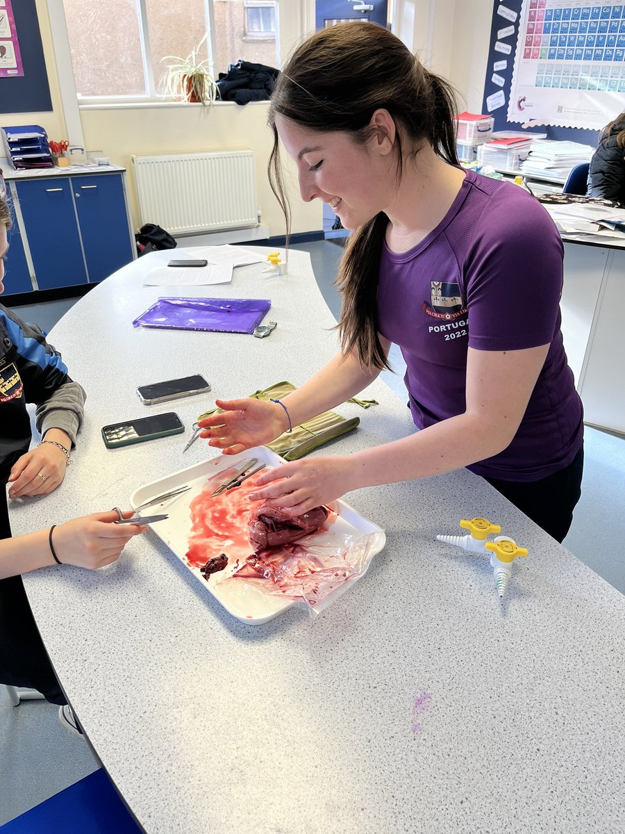 MedSoc were preparing for Valentine’s Day today by dissecting hearts with <a href="/KSGscience/">Science | The King’s School</a> ♥️