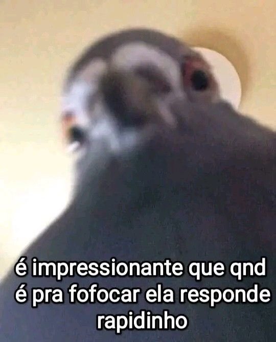 Guilherme Cezerio (@jont3ddy) on Twitter photo 