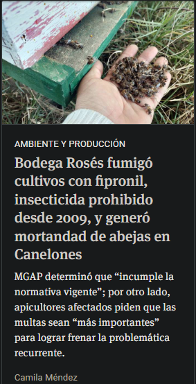 Victor26356's tweet photo. Si seguimos matando las abejas, todos sabemos que pasa. Cuando se van a tomar medidas serias para protegerlas ? https://t.co/XiYA9ZXMsl