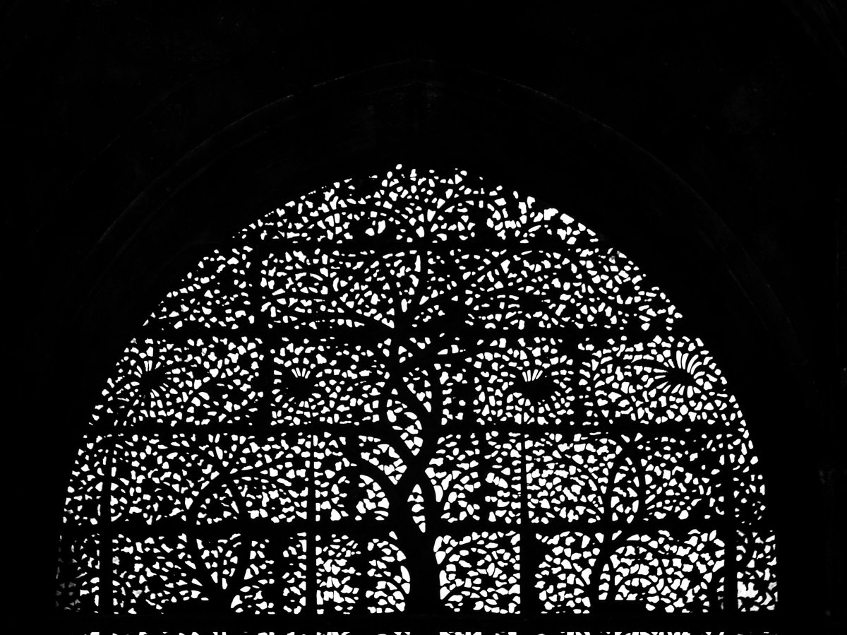 iamsujalshah's tweet photo. Time teaches that life begins at the end of comfort zone
#NFTCommunity
#Nftydream
PS: Tree of life https://t.co/3vaoWWIN09