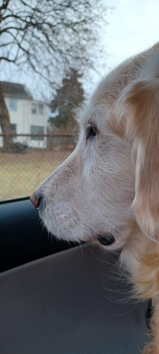 Watchful

#BonusDay693