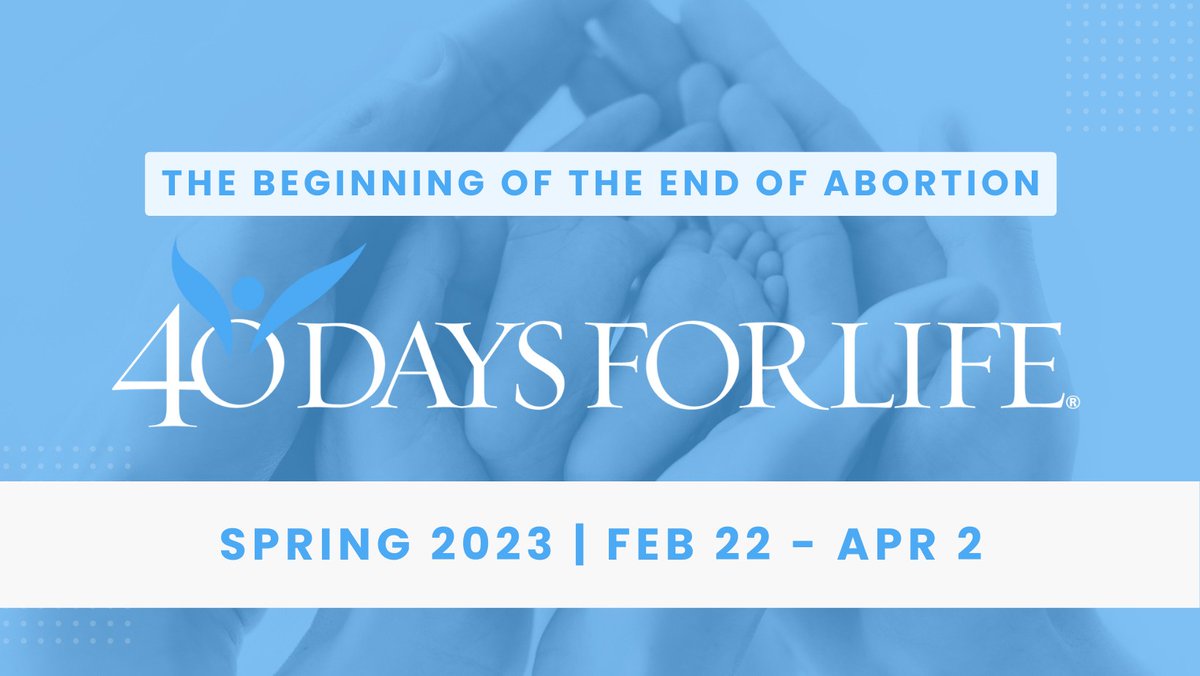 TeresaTomeo's tweet photo. LIVE NOW!! HERE https://t.co/Ny3U7wBh3v #AveMariaRadio @TeresaTomeo on Catholic Connection special guest Sandie Weathers – @SandieWeathers Campaign Director, Ann Arbor 40 Days for Life &amp; Shari Boley - Executive Director at Pregnancy Help Clinic #Catholic  #prolife #40DFL https://t.co/qg1WGFOhfk