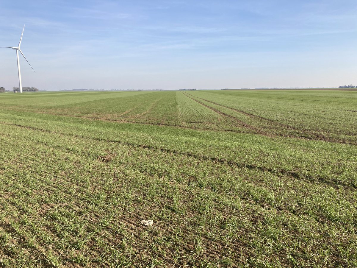 BONNIN1402's tweet photo. Superbe @meteo_45 à Toury #pk87.
Le #blédur et l’#orge de Brasserie sont roulés.
(Et l’orge a été semée il y a déjà qq jours mon Complice : la germination est bien enclenchée!)
Attention à la profondeur de semis cette année. 🌱 mais en Beauce les semis sont peut être terminés ? https://t.co/Izm6n9dK71