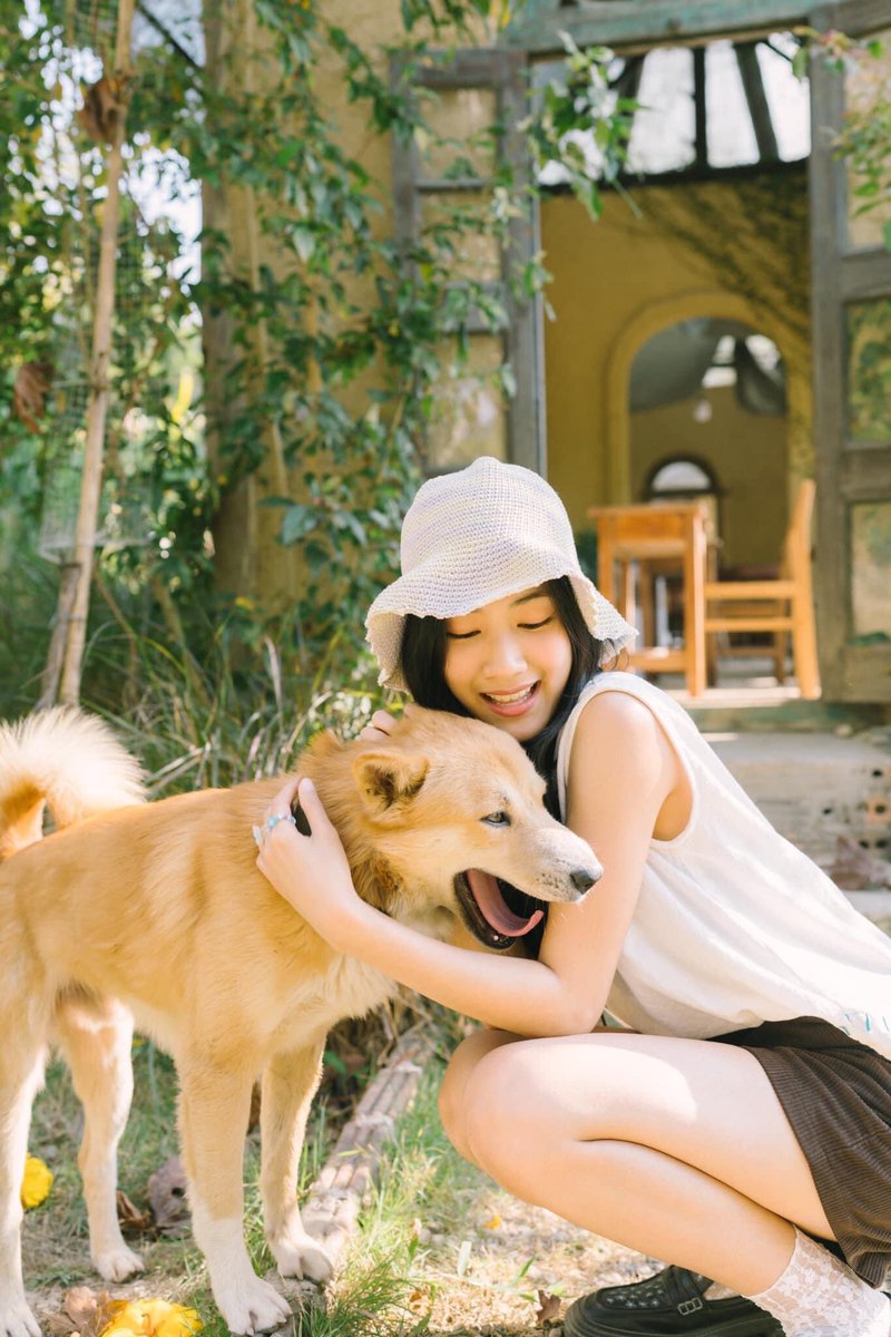 Fortunehomie's tweet photo. [🍞] 𝐈𝐆 &amp; 𝐅𝐁 𝐔𝐩𝐝𝐚𝐭𝐞 : 𝟎𝟗/𝟎𝟐/𝟔𝟔 

น้องพูดได้ม้ายคั้บ🐕🪴
____
#CGM48
#FortuneCGM48 https://t.co/19LlbxBFDR