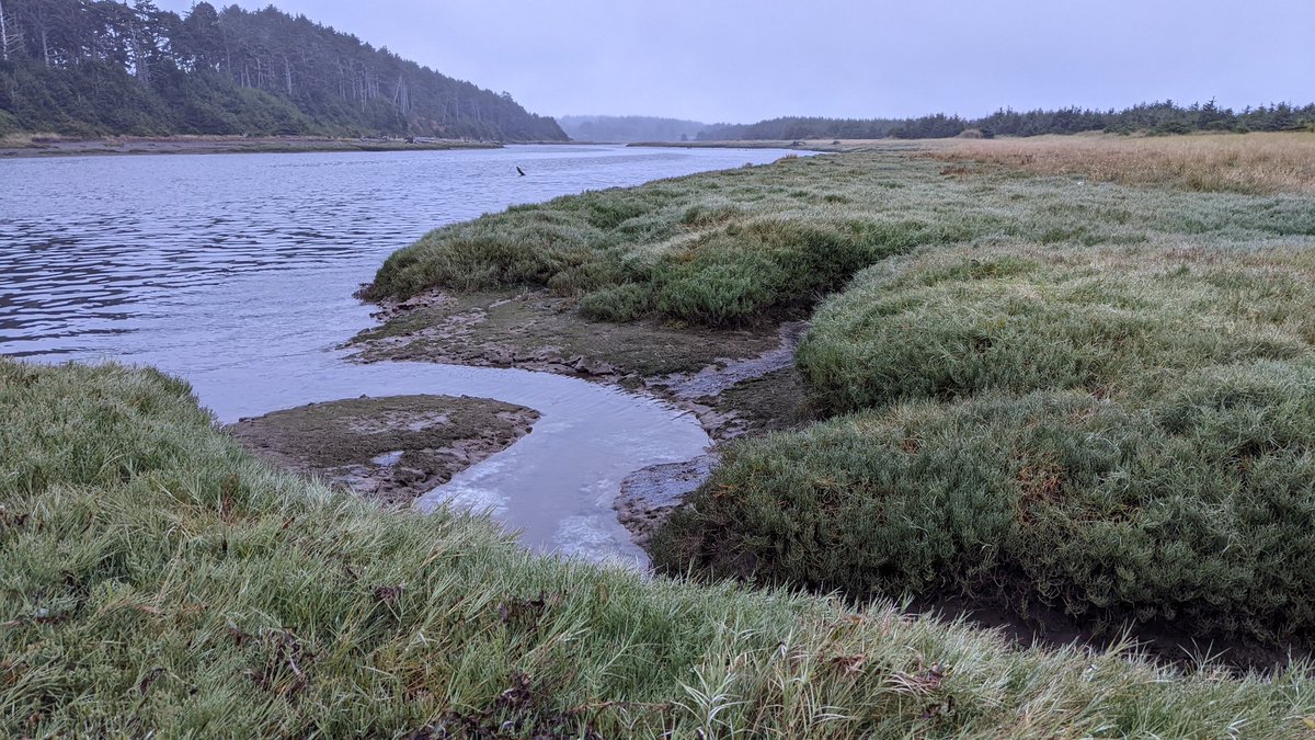Copalis_Beach's tweet photo. #CopalisBeach #CopalisRiver #WashingtonCoast #WashingtonState https://t.co/2jYir1wL5E