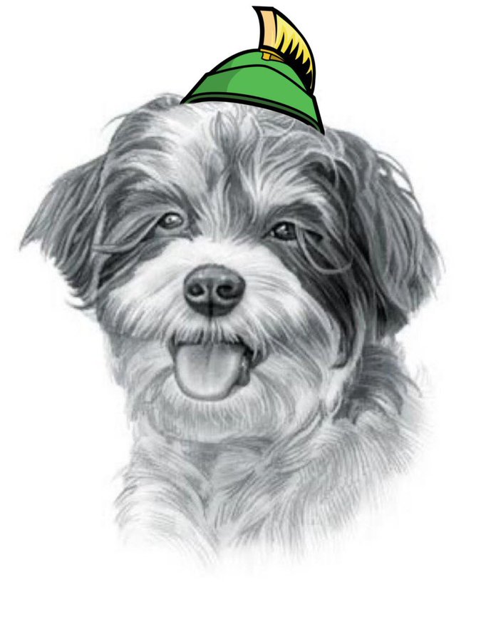 RoyKrypto's tweet photo. @ShenobiOfCrypto @rovercrc @Marvin_Inu $Marvin one of my best DOGGO https://t.co/miDbqIEdBU