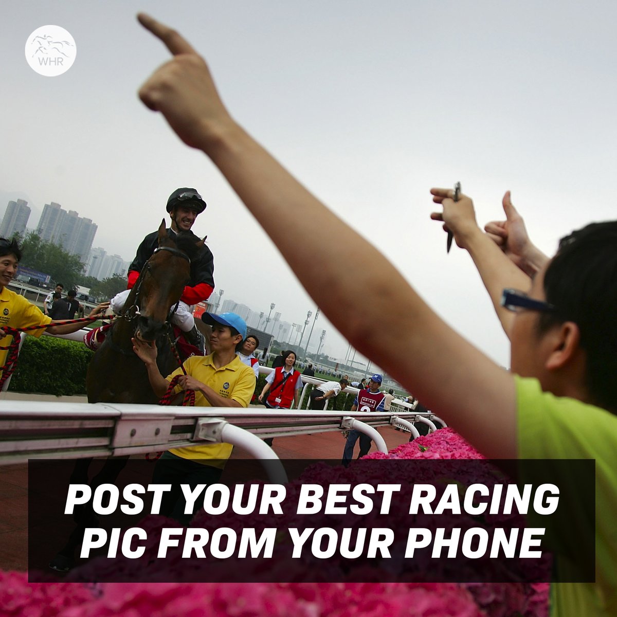 WHR's tweet image. What's the best you've got...? 📸👇