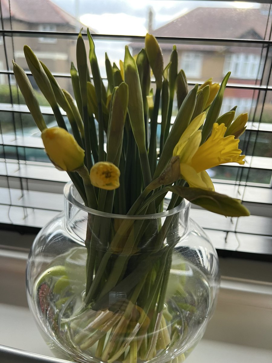 Holly Shea tweet media