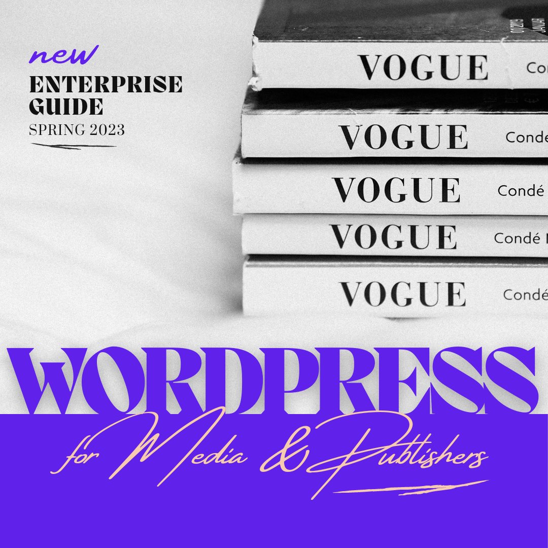 Vipe Studio tweet media