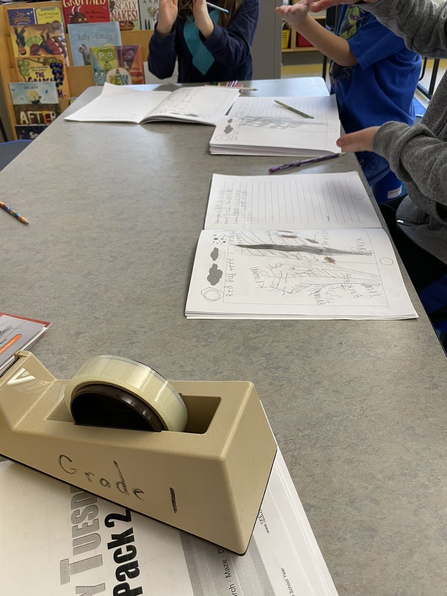 <a href="/FHLearn/">Firsthand Learning</a>   Grade one scientists do a comparison of the Sweet Gum tree and the Chestnut tree.