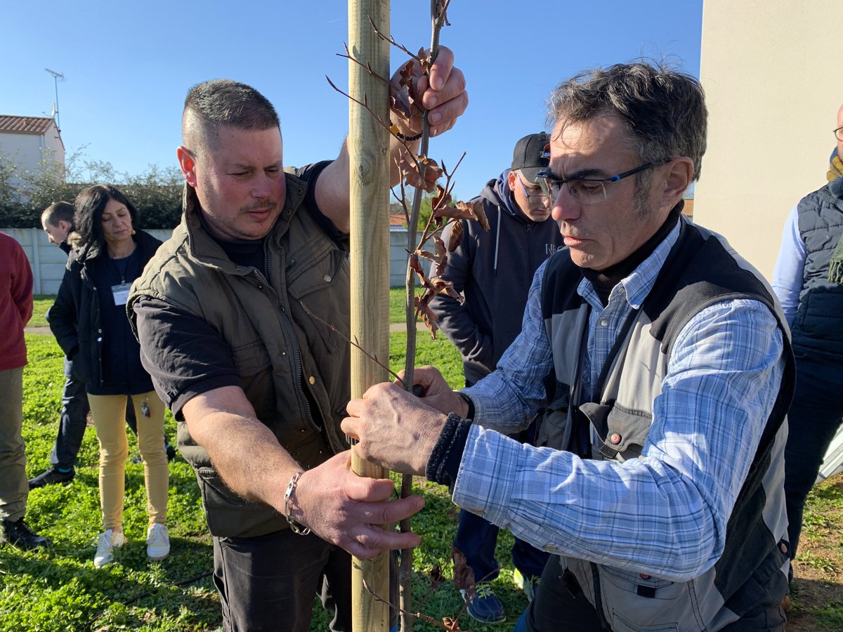 villedelucon's tweet photo. 🟣 Dans le cadre de la Journée Internationale de l'#épilepsie qui aura lieu le 13 février, deux hêtres pourpres ont été plantés à #Luçon avec le conseil municipal des enfants et les résidents du Foyer d'accueil médicalisé Damien Seguin. https://t.co/0IP3tCrcgK