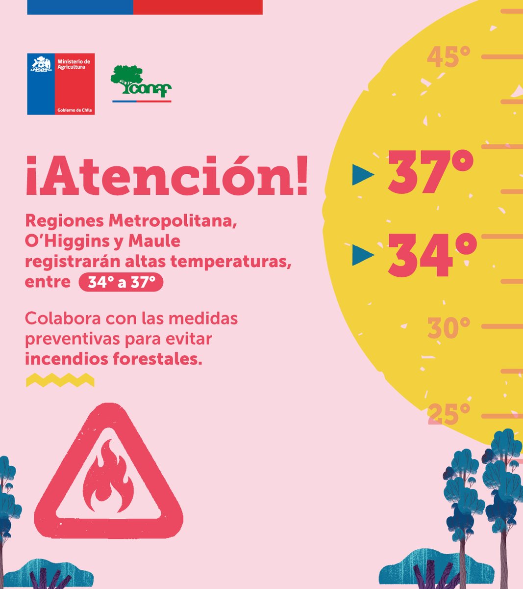 CONAF - Corporación Nacional Forestal tweet media