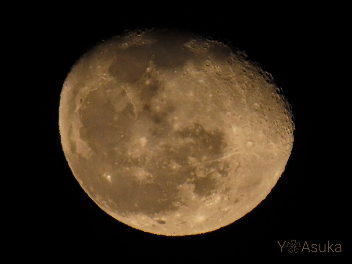 yumeasutw's tweet photo. 月が綺麗です🌖✨

冬の星座が瞬く風が冷たい夜🌃✨
東の空に🌖 ＃寝待月 (月齢18.7)が
昇っています。

#夜空 #宙の名前
#天気の図鑑 #雲友の会
#月 #moon
#a2023 #a0209 #a202302 #a2023022 https://t.co/RpmSOZFHI5