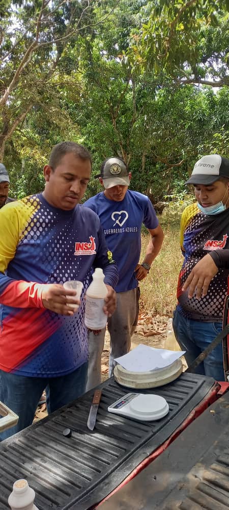 #SomosCaribe
#9Febrero
Desde el municipio Julián Mellado de Guárico, iniciamos Preparación y Colocación de Trampas para Captura de Mosca de la Fruta, en cultivo de 1100 Plantas de Mango 🥭🥭🥭 con destino a Exportación.
<a href="/NicolasMaduro/">Nicolás Maduro</a>
<a href="/MinAgriculturaV/">MinAgriculturaVe</a>
<a href="/wcastroPSUV/">Wilmar Castro</a>
<a href="/Tibisaylcastro/">yasibit</a>